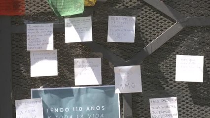 El ficus centenario de Triana se queda