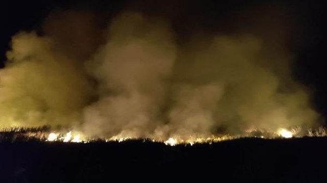 Son dakika haberi | İZNİK GÖLÜ KENARINDAKİ SAZLIK ALANDA YANGIN ÇIKTI