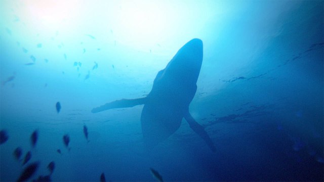 Under The Waves Reveal Trailer Gamescom 2022