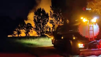 İznik Gölü'nde korkutan yangın!