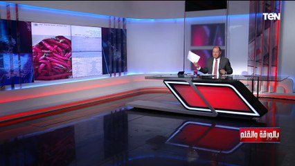 لماذا ترفض ليبيا الصادرات المصرية؟ الديهي يفتح ملف ‏شائك