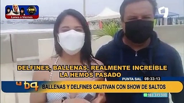 Espectáculo increíble: delfines y ballenas cautivan a viajeros en playas del norte
