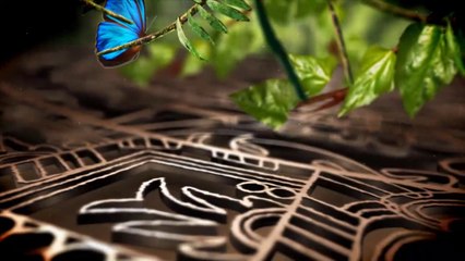 سولار 1000...أكبر مشروع جزائري للطاقة الشمسية في إفريقيا