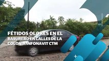 Usan como basurero instalaciones de pozo de SEAPAL en Ixtapa | CPS Noticias Puerto Vallarta