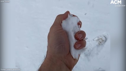 Australians wake up to fresh snowfall in the country's South East | August 24, 2022 | ACM