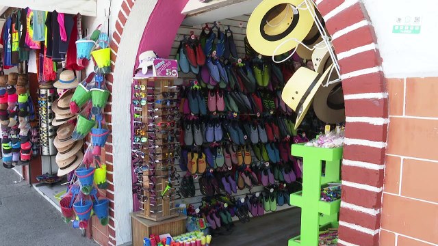 Michel entrega la “Tarjeta Joven” en beneficio de la juventud | CPS Noticias Puerto Vallarta