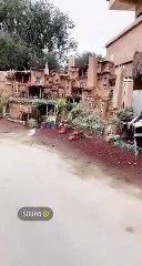 فنان من بلجرشي من قرية المكارمة. يستحق المشاهدة فعلا ويشكر علي مجهوده. لخص معالم قري اهل الجنوب وحياتهم