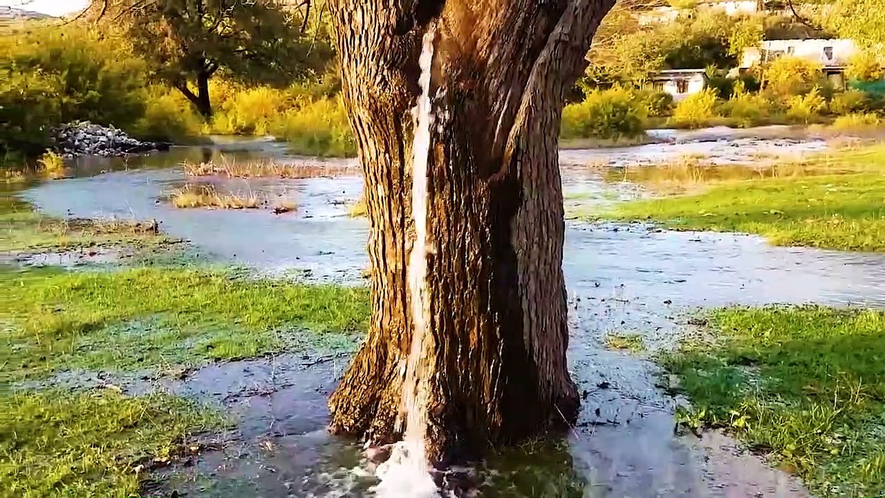 Mind Blowing Moments Caught On Camera !