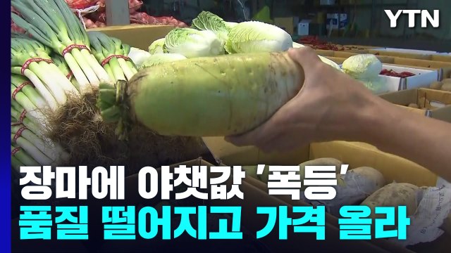 긴 장마로 작황 안 좋아 채솟값 폭등...품질은 떨어져 / YTN
