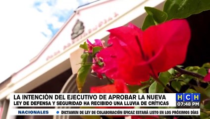 ¡Lluvia de críticas! Por intención de la presidencia para aprobar ley del Consejo Nacional de Defensa y Seguridad