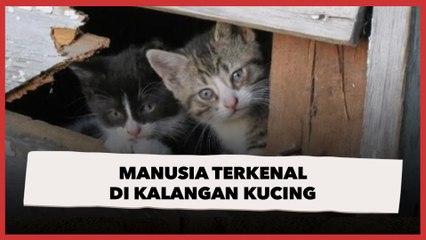 Bukan Terkenal di Kalangan Manusia, Warganet Ini Populer di Antara Kucing Liar
