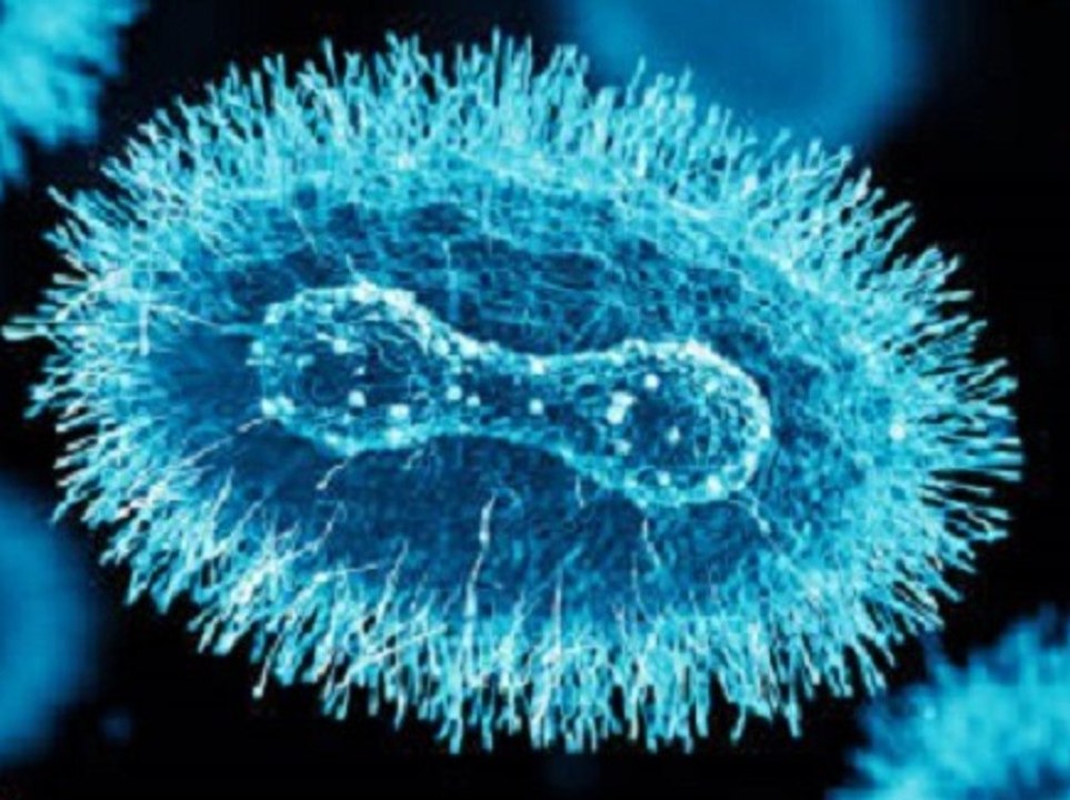 USA: Erster Patient mit Affenpocken gestorben