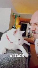 Νέα στιγμιότυπα από το σπίτι του Νίκου Μουτσινά