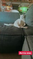 Νέα στιγμιότυπα από το σπίτι του Νίκου Μουτσινά 2