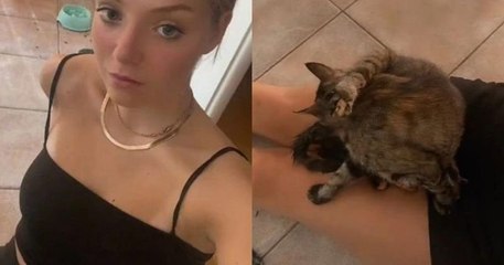 Cette chatte accouche sur les jambes de sa maîtresse