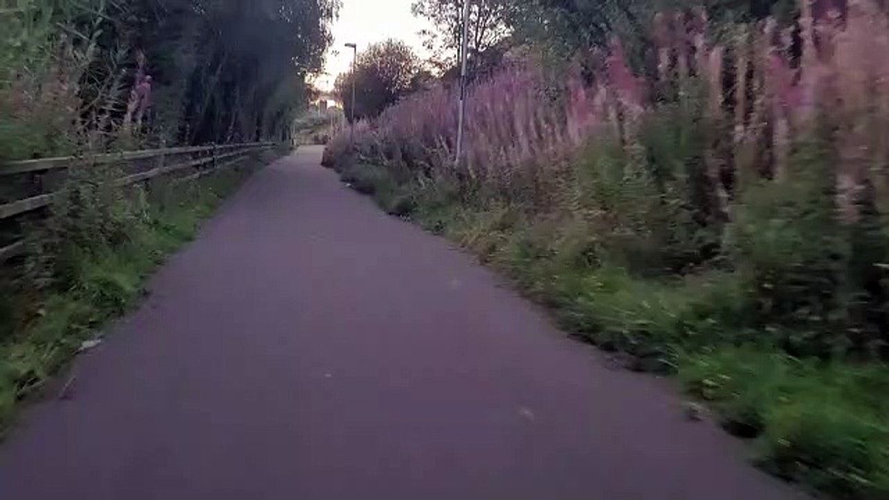 Train under the Foyle Bridge at sunset