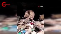 20'den fazla ayı karnını doyurmak için çöplüğü istila etti