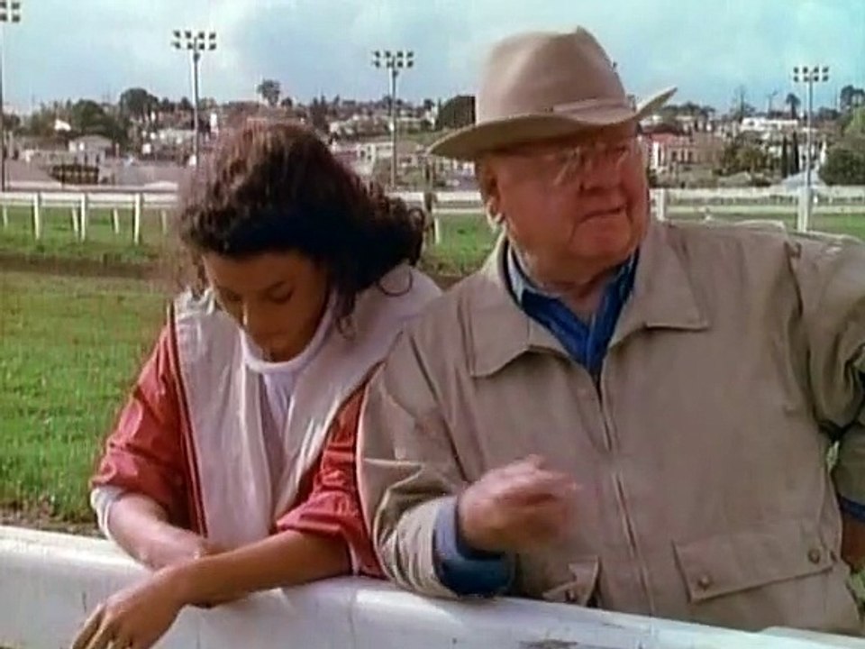 Black, der schwarze Blitz Staffel 5 Folge 1 HD Deutsch