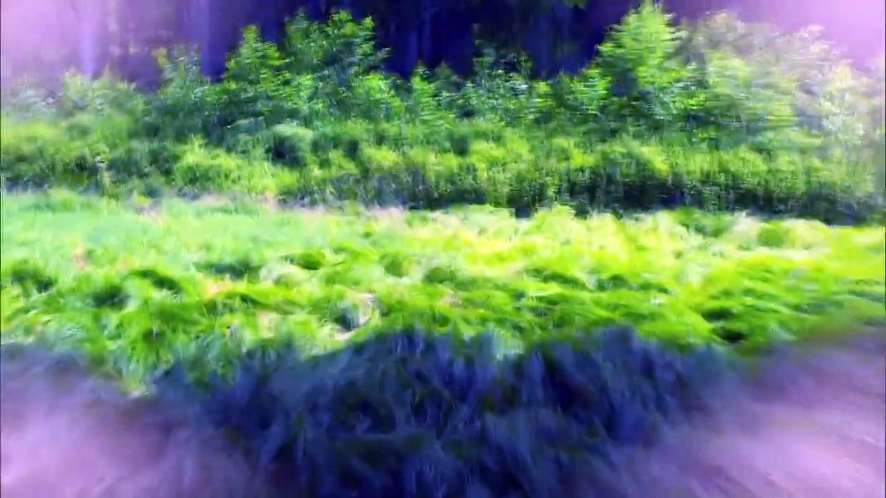 Fluch des Falken Staffel 3 Folge 10 HD Deutsch