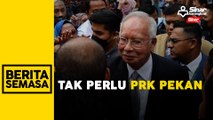 Tiada keperluan PRK Pekan diadakan: Wan Junaidi