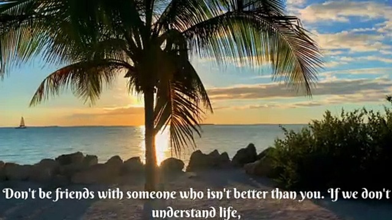 Humility is the solid foundation of all goodness