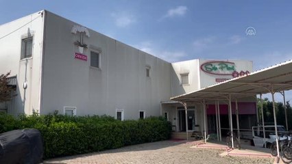 Yalova gündem: Rusya'nın orkide ihtiyacı Yalova'dan karşılanacak