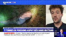 Loire: 11 tonnes de poissons morts dans un étang, que s'est-il passé ? BFMTV répond à vos questions
