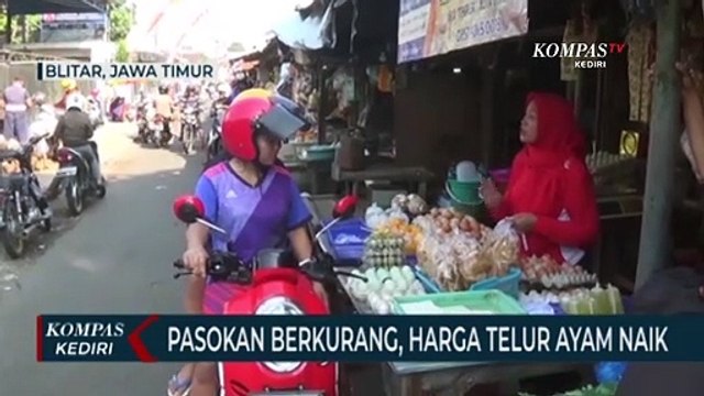 Pasokan Dari Peternak Berkurang, Harga Telur Ayam Melonjak