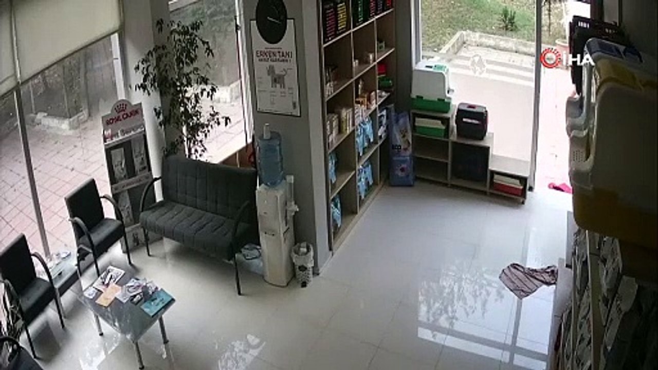 Veteriner kliniğini birbirine katan 3 arkadaşın silahlı kavgası kamerada