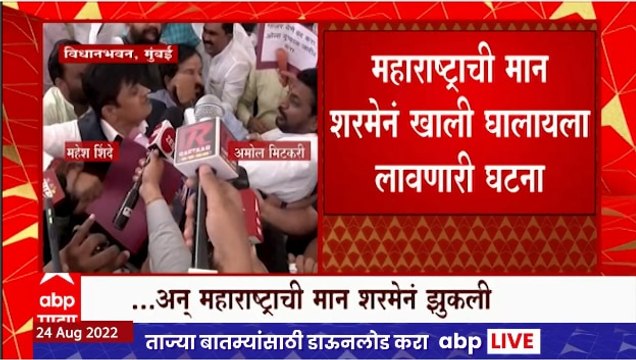 Amol Mitkari Vs Mahesh Shinde : विधान भवनाच्या पायऱ्यांवर नेमकं काय झालं? पाहा आमदारांचा राडा