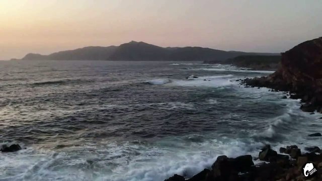 ALAN WATTS: Natura Uomo Donna