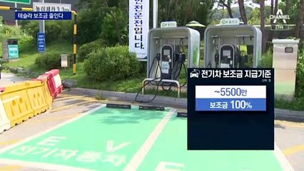 전기차 ‘맞불’…AS망 따라 테슬라 보조금 깎는다