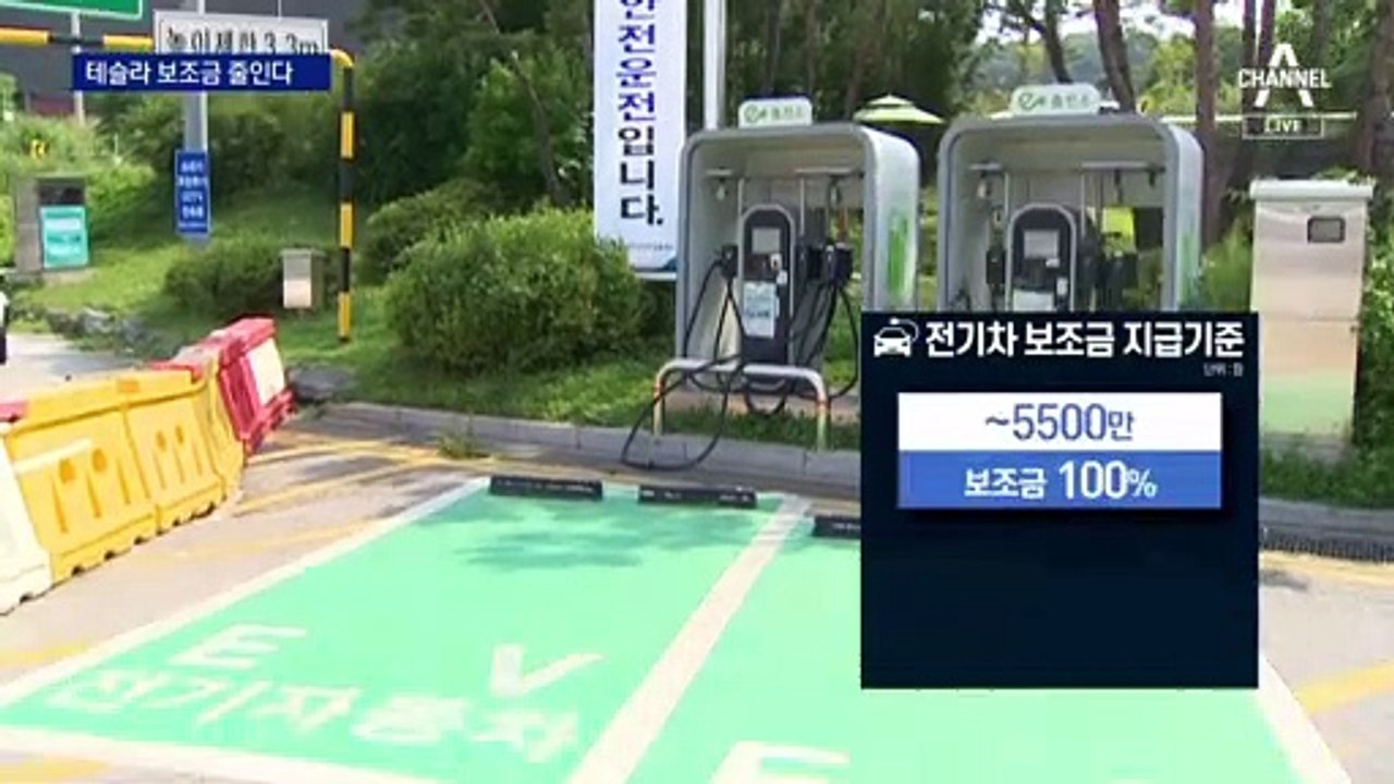 전기차 ‘맞불’…AS망 따라 테슬라 보조금 깎는다