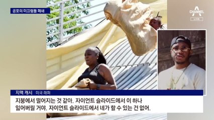 너무 짜릿한 美 미끄럼틀…뉴욕 덮친 꽃매미떼