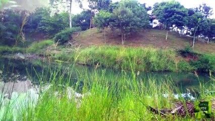 তপু - এই কি বেশী না | গান সবুজের গল্প  কাভার -Topu - Ei ki beshi na | Gaan shobujer golpo | Cover |