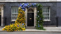 Fiori gialli e blu a Downing Street per l'indipendenza Ucraina