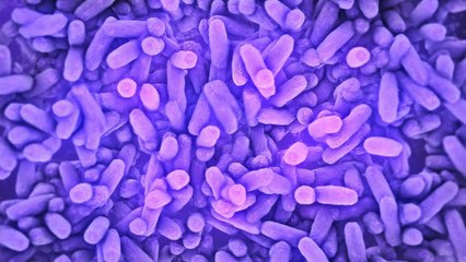 Neues Mittel soll Lebensmittelallergien heilen