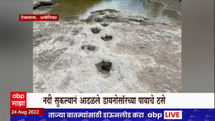 Texas America : टेक्सासमध्ये नदी सुकल्यानं आढळले डायनोसॉरच्या पायाचे ठसे, ठसे 11 करोड वर्ष जुने