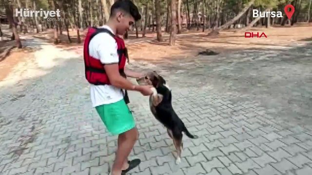 Rafting rehberi 17 yaşındaki Emre, akıntıya kapılan köpeği kurtardı