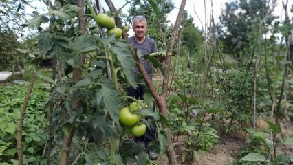 Milyonluk binaların arasına hobi bahçesi kurdu, kışlık ihtiyacını karşılıyor