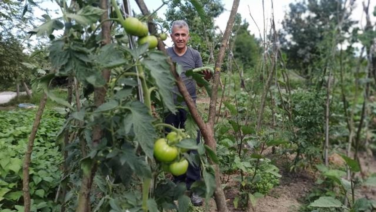 Milyonluk binaların arasına hobi bahçesi kurdu, kışlık ihtiyacını karşılıyor