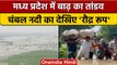 Madhya Pradesh Heavy Rain: एमपी में बारिश का कहर,चंबल नदी ने दिखाया रौद्र रूप | वनइंडिया हिंदी *News