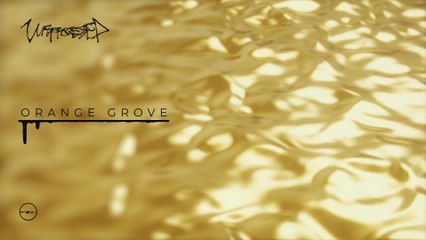 Unprocessed - Orange Grove