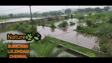 My First vlog | Lul Zindagi Vlog | Hindi | Support me please