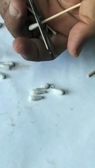 ear buds cotton flower.