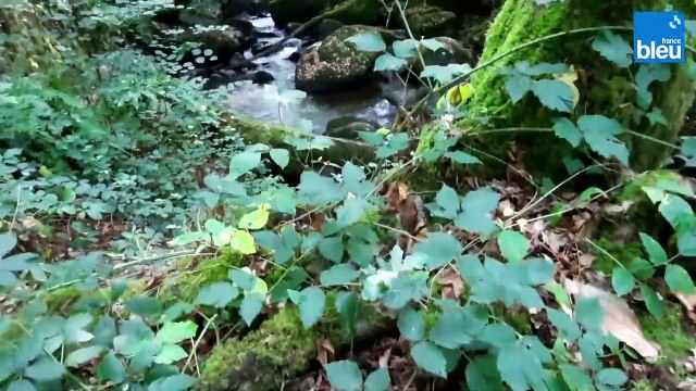 Au fil de l'eau - Saint Saud Lacoussière