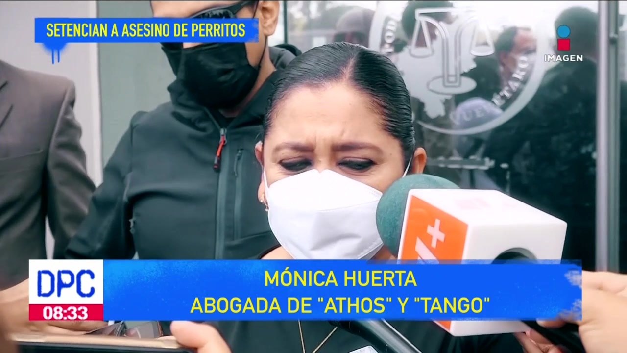 Se hizo justicia, sentencian al asesino de dos perritos rescatistas