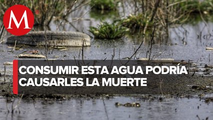 Habitantes acusan contaminación de río Sabinas