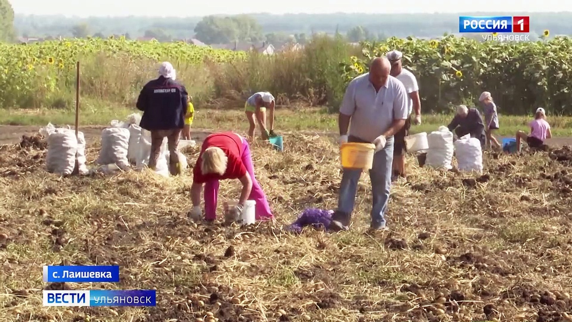 ⁣Агротуризм с пользой для фермеров и для семьи
