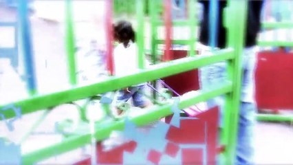 A la une du JT : les vendanges ont commencé !